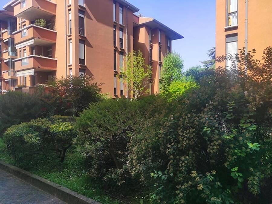 Santa Croce, grazioso appartamento con 2 camere e posto auto - Grimaldi Padova